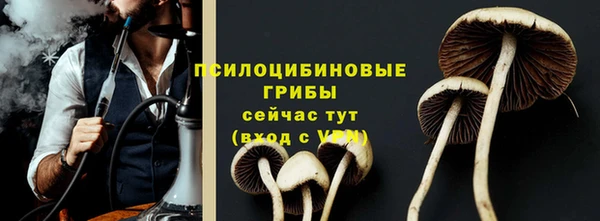 ГАЛЛЮЦИНОГЕННЫЕ ГРИБЫ Балабаново