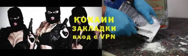 гашик Няндома