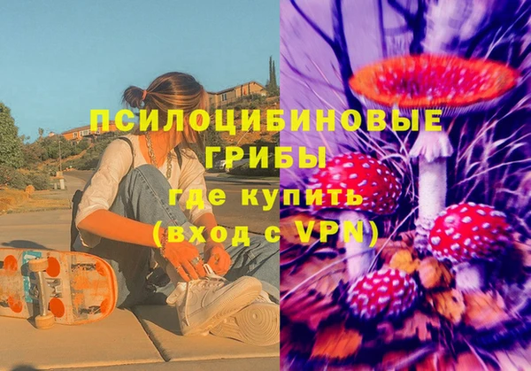 ГАЛЛЮЦИНОГЕННЫЕ ГРИБЫ Балабаново