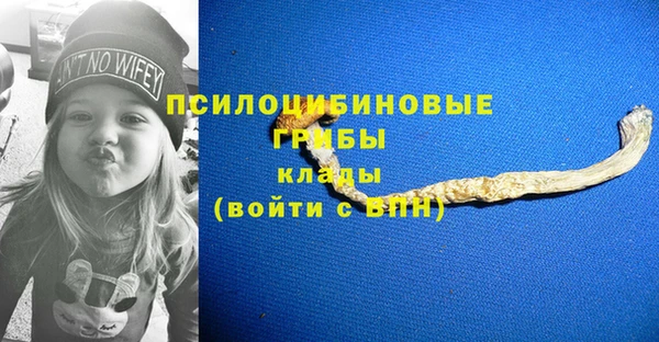 ГАЛЛЮЦИНОГЕННЫЕ ГРИБЫ Балабаново