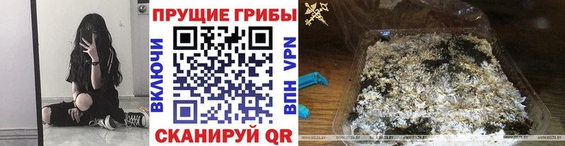 цены   Семилуки  Галлюциногенные грибы прущие грибы 